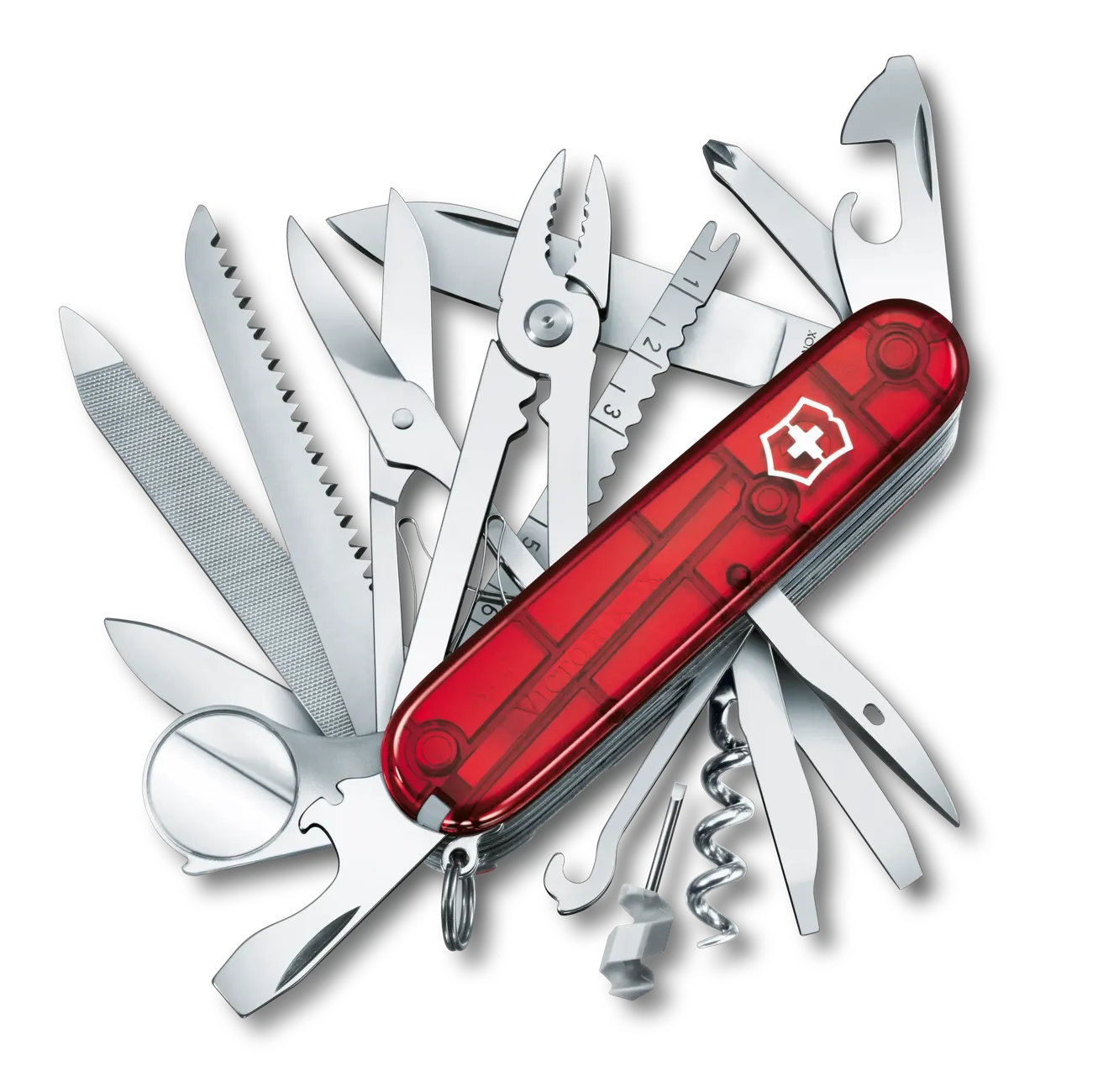 Swiss Champ